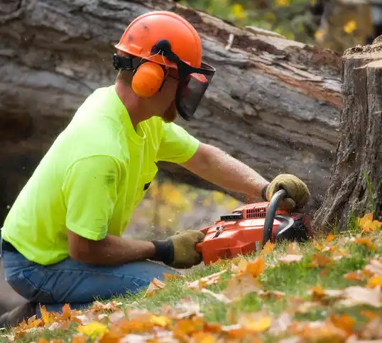 tree services Cherry Grove